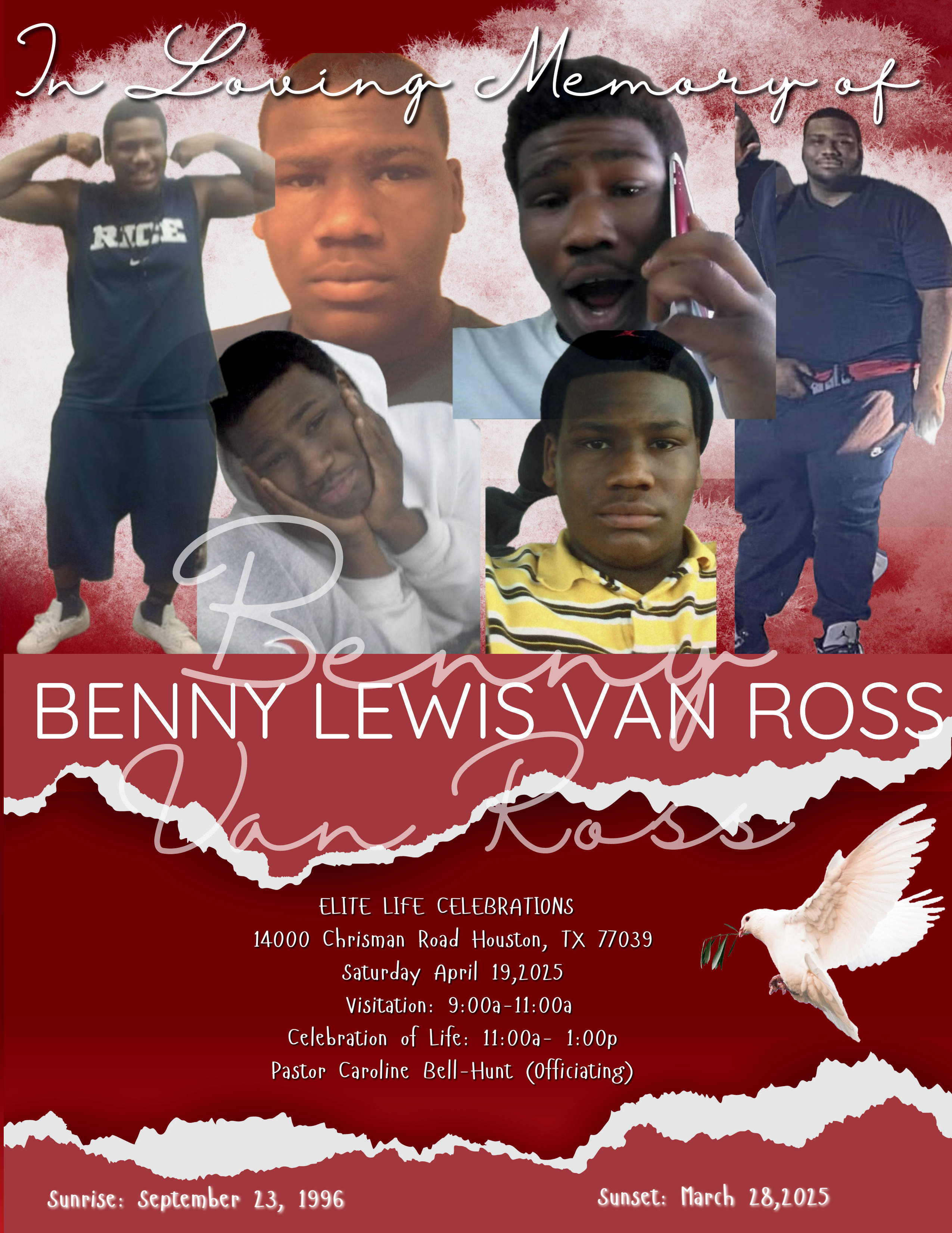 Benny Lewis Van Ross 1996-2025